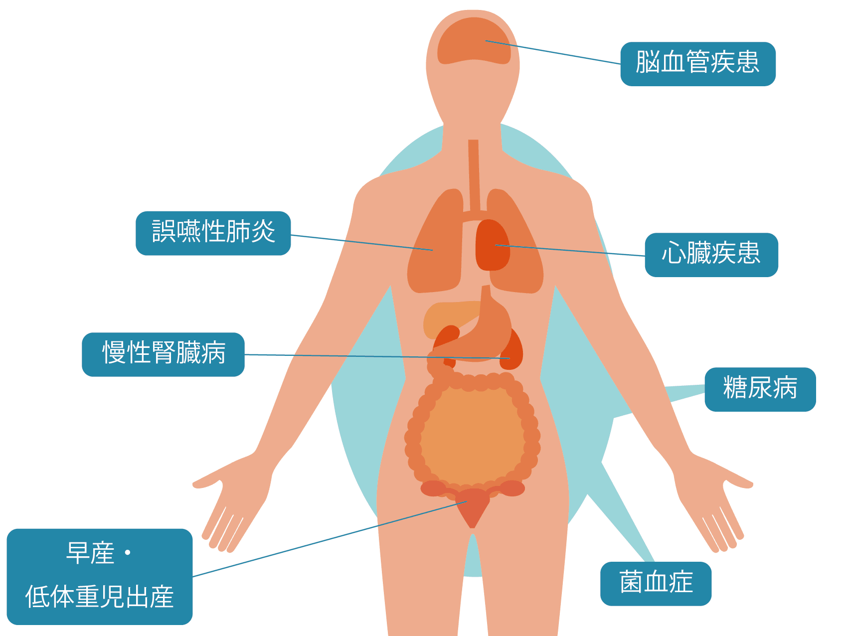 歯周病と全身疾患のリスク